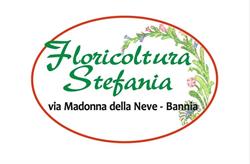 Floricoltura Stefania di Buligan Massimo & css, Bannia orari di apertura