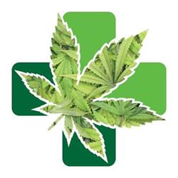 Pharma CBD Padova-Attivo distributore automatico cannabis H24, orari di apertura