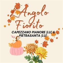 L'Angolo Fiorito, Pietrasanta orari di apertura