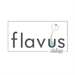 Flavus Vitulazio, orari di apertura