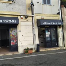 Bar Nuovo Belvedere di Ridori e Nardi, Palestrina orari di apertura