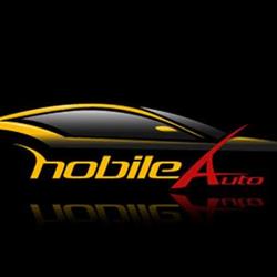 Nobile Auto, Bozzolo orari di apertura