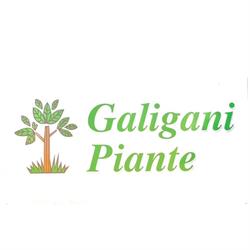 Galigani piante, Pistoia orari di apertura