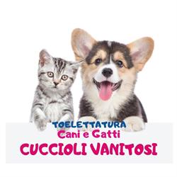 Cuccioli Vanitosi Corigliano-Rossano, Schiavonea - Orari di apertura