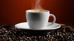 Caffè il Ponte - da Marika, Bagnacavallo orari di apertura