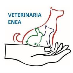 Ambulatorio Associato Enea, Pomezia orari di apertura