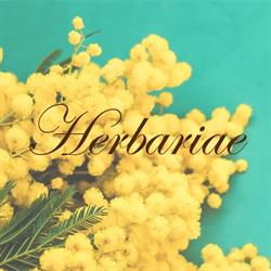 Erboristeria Herbariae, Marino orari di apertura