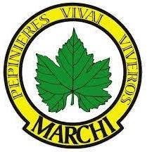 Vivai Marchi di Ezio Marchi San Giorgio della Richinvelda, Rauscedo - Orari di apertura