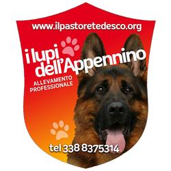 I Lupi dell'Appennino - Allevamento Professionale di Pastori Tedeschi, San Benedetto Val di Sambro orari di apertura