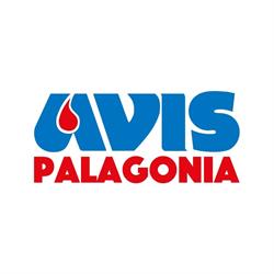Avis Comunale Di Palagonia, orari di apertura