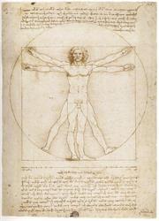 Materia Medica, Ancona orari di apertura