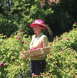 Il Giardino delle Dalie, Savignone orari di apertura