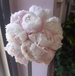 ARTE DEL FIORE, Velletri orari di apertura