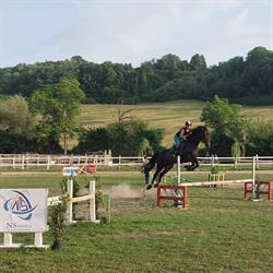 ASD Circolo Equestre Le Cerque, Montopoli di Sabina orari di apertura