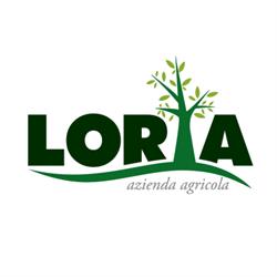 Tenute Loria, Delianuova orari di apertura