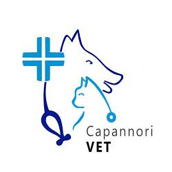 Ambulatorio Medico Veterinario CapannoriVET del Dott. Luca Cassiani, orari di apertura