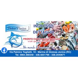 Pesce Fresco Agostino S.a.s. di Catalano Sara & C., Marina di Gioiosa Ionica orari di apertura