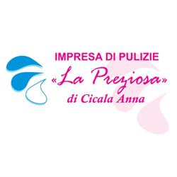 Impresa di Pulizia La Preziosa, San Vitaliano orari di apertura