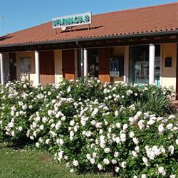 Farmacia San Giorgio in Salici, orari di apertura