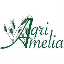 Agri Amelia Di Milelli Ugo e c. Sas, orari di apertura