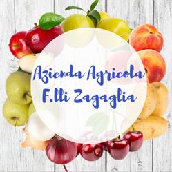 Azienda Agricola F.lli Zagaglia, Osimo orari di apertura