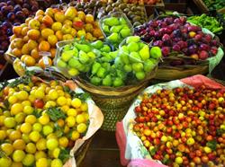 The Best Fruit Snc Di Bonavita, Amantea orari di apertura