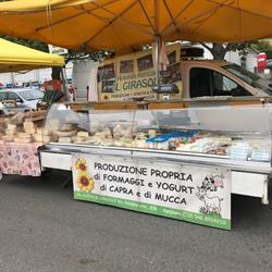 Azienda Agricola Il Girasole, Alpignano orari di apertura