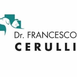 Veterinario a domicilio Padova - Dr. Cerulli Francesco, Rubano orari di apertura
