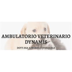 Ambulatorio Veterinario Dynamis della Dott.ssa Adriana Dipasquale, Scicli orari di apertura