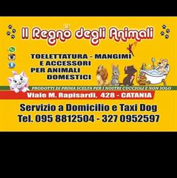Toelettatura cani Il regno degli animali, Catania orari di apertura