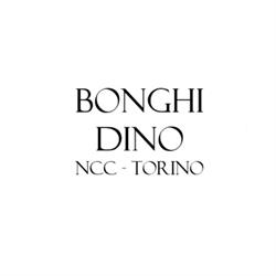 Bonghi Dino, Torino orari di apertura
