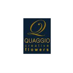 Impresa Funebre Quaggio, Arzergrande orari di apertura