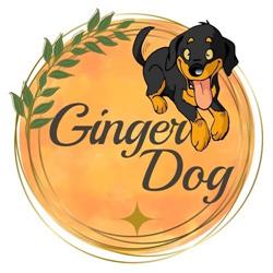 Centro Cinofilo Ginger DOG, Casale Monferrato orari di apertura