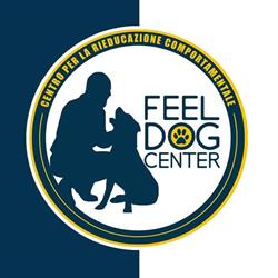 Feel Dog Center, Portici orari di apertura