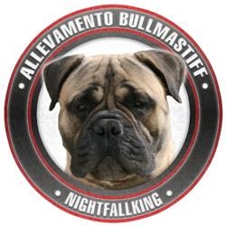 Allevamento Bullmastiff Nightfallking, Ragusa orari di apertura