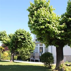 B&B I due Tigli, Travedona-Monate orari di apertura
