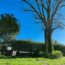 Il Tiglio B&B, Dozza orari di apertura