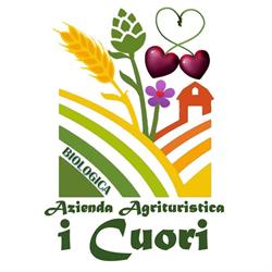 Azienda Agrituristica Biologica I Cuori, Bagnara di Romagna orari di apertura