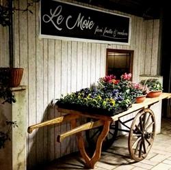 Le Moie Ortofloricoltura & Agriturismo, Desenzano del Garda orari di apertura