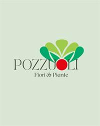 Azienda agricola Pozzuoli Colli al Metauro, Villanova - Orari di apertura