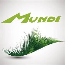 Mundi Srl, Siena orari di apertura