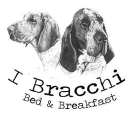 Bed & Breakfast I Bracchi, Rimini orari di apertura