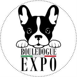Bouledogue EXPO Allevamento Professionale - Cuccioli Bulldog Francese Italiani con Pedigree, Modena orari di apertura