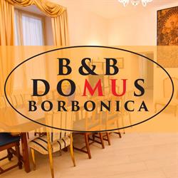 Domus Borbonica - B&B Napoli, orari di apertura