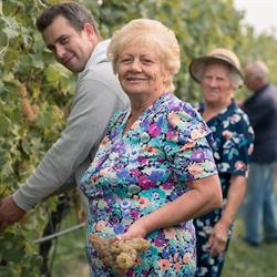 Tenuta Tosi, Peschiera del Garda orari di apertura
