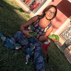Allevamento di pappagalli - Lucy - Roma, Pomezia orari di apertura