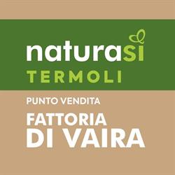 NaturaSì, Termoli orari di apertura