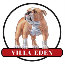 Allevamento Bulldog Villa Eden, Bagnolo San Vito orari di apertura