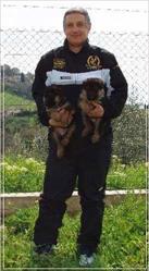 Allevamento del Pastore Tedesco - dei Colli Etruschi, Montecchio orari di apertura