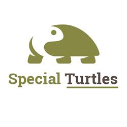 Special Turtles, Gatteo orari di apertura